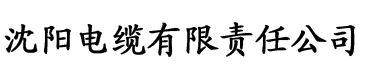 天美影院电缆厂logo